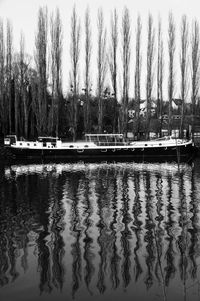 Reflection of trees in calm lake