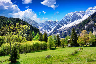 Scenic view of landscape against sky