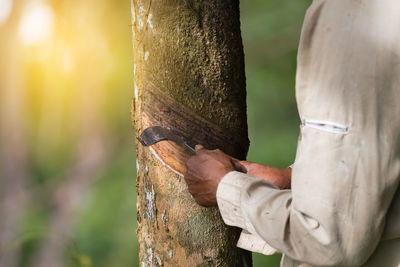 Close-up of man working on tree trunk