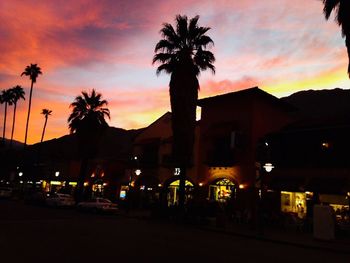 Palm trees at sunset