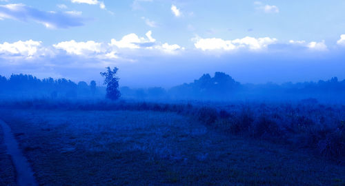 Trees on field against sky