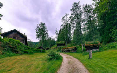 Trees on field against sky