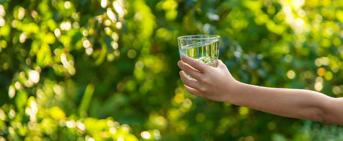 Cropped hand of woman holding glass