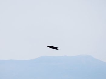 Hot air balloon flying over sea