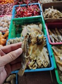 Close-up of hand holding salted fish
