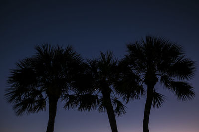 Silhouette palm trees against clear sky during sunset