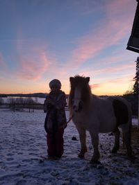 View of dogs standing on land against sky during sunset