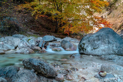 River flowing through rocks in forest