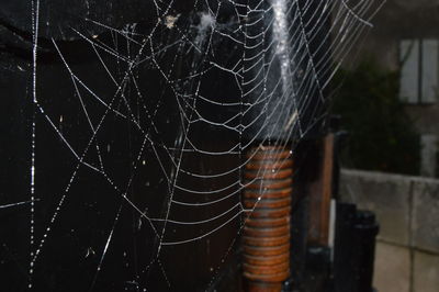 Close-up of fire against blurred background
