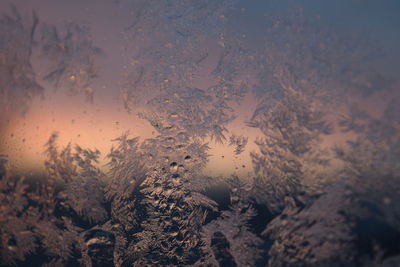 Close-up of water against sky at sunset