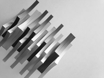 Row of trees in the dark