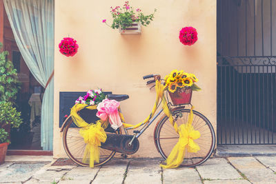 Potted plant on street against building