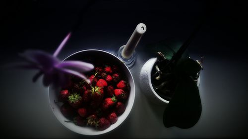 High angle view of flowering plant on table against black background