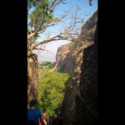 People sitting on road by tree mountain