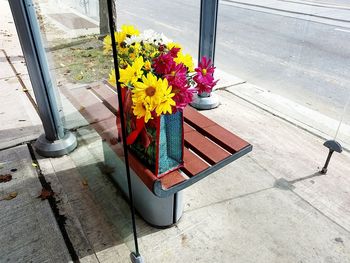 High angle view of flower pot on plant