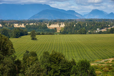 Scenic view of agricultural field against sky