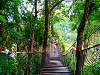 Rear view of woman walking on footbridge in forest