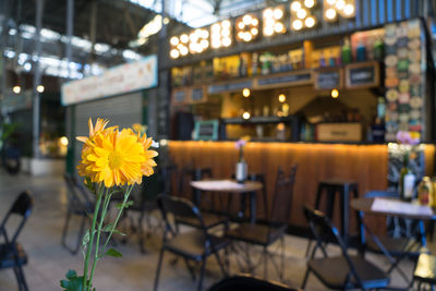 Yellow flowers on table in restaurant