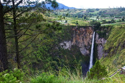 Scenic view of waterfall in forest