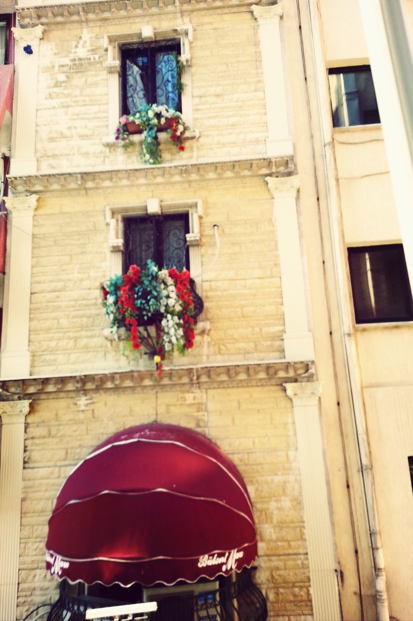 building exterior, architecture, built structure, window, flower, potted plant, house, balcony, residential building, residential structure, building, low angle view, city, outdoors, day, flower pot, facade, no people, red, pink color