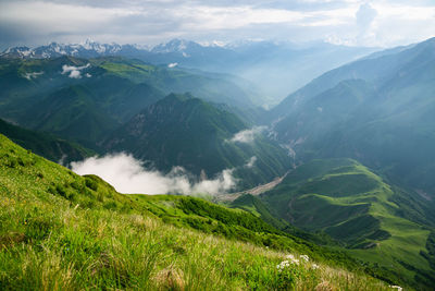 Mountains of chechnya in the caucasus. mountain gorge with green forests and meadows.