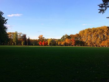 Scenic view of trees on field against sky during autumn