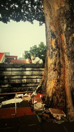 Built structure with trees in background