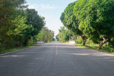 Road amidst trees against sky