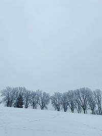 Trees on snow covered field against sky