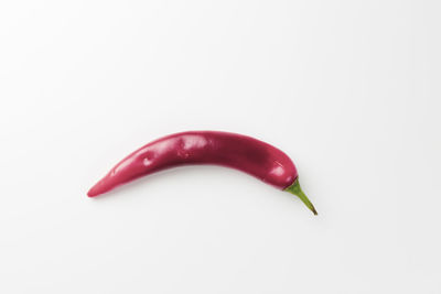 Close-up of red chili pepper against white background
