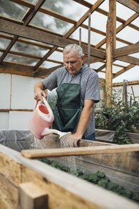 Mature man, gardener in greenhouse watering plants