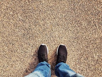 Low section of man standing on ground