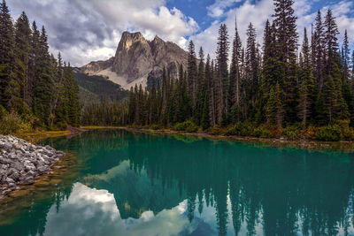 Scenic view of lake by trees against sky