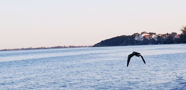 People on sea against clear sky