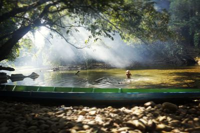 Scenic view of lake against trees