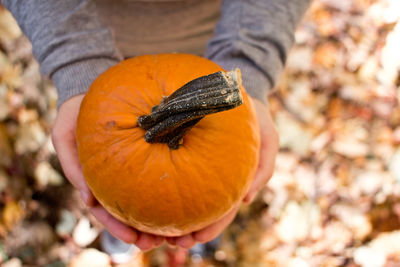 Close-up of hand holding pumpkin against orange autumn leaves