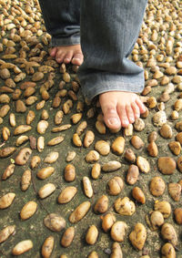 Low section of person walking on pebbles at beach