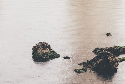 High angle view of rocks on lake during rainy season