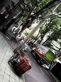 Street amidst trees in city