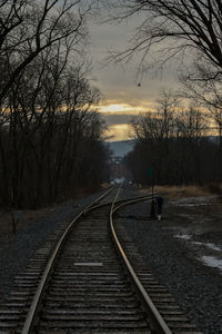 Railroad tracks along bare trees during winter