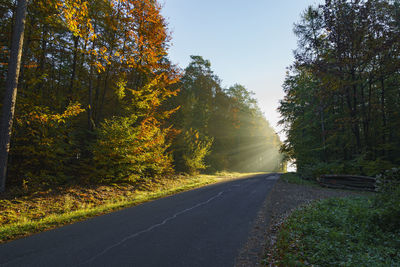 Road amidst trees against sky during autumn