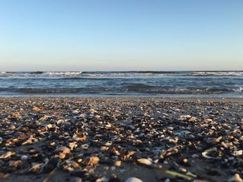 Surface level of beach