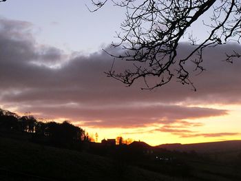 Silhouette of tree against dramatic sky