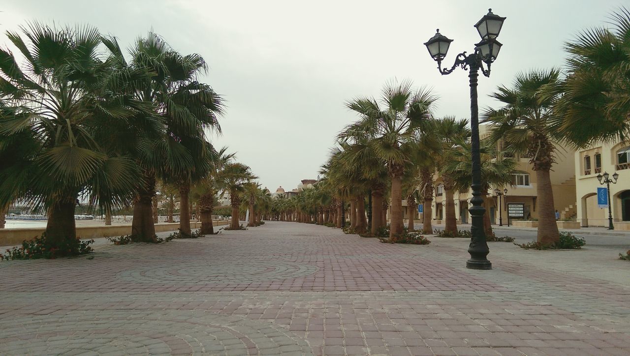 Gym Baron Palace Sahl Hasheesh