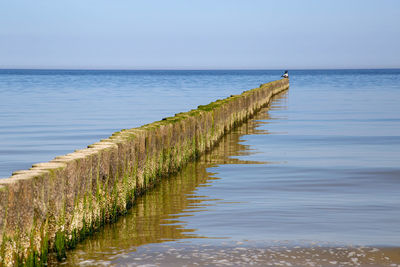 Wooden posts in sea against clear sky