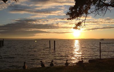 Scenic view of sea at sunset