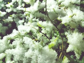 Full frame shot of snow