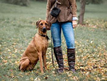 Rhodesian ridgeback sitting in gras, next to woman legs in jeans, looking at camera, hunting clothes