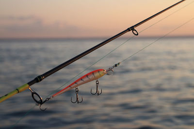 Fishing net hanging on rope against sea during sunset