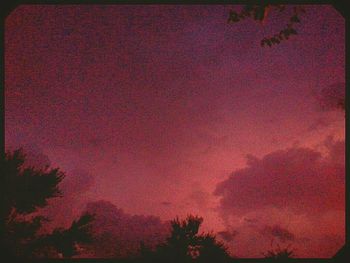 Low angle view of trees against sky